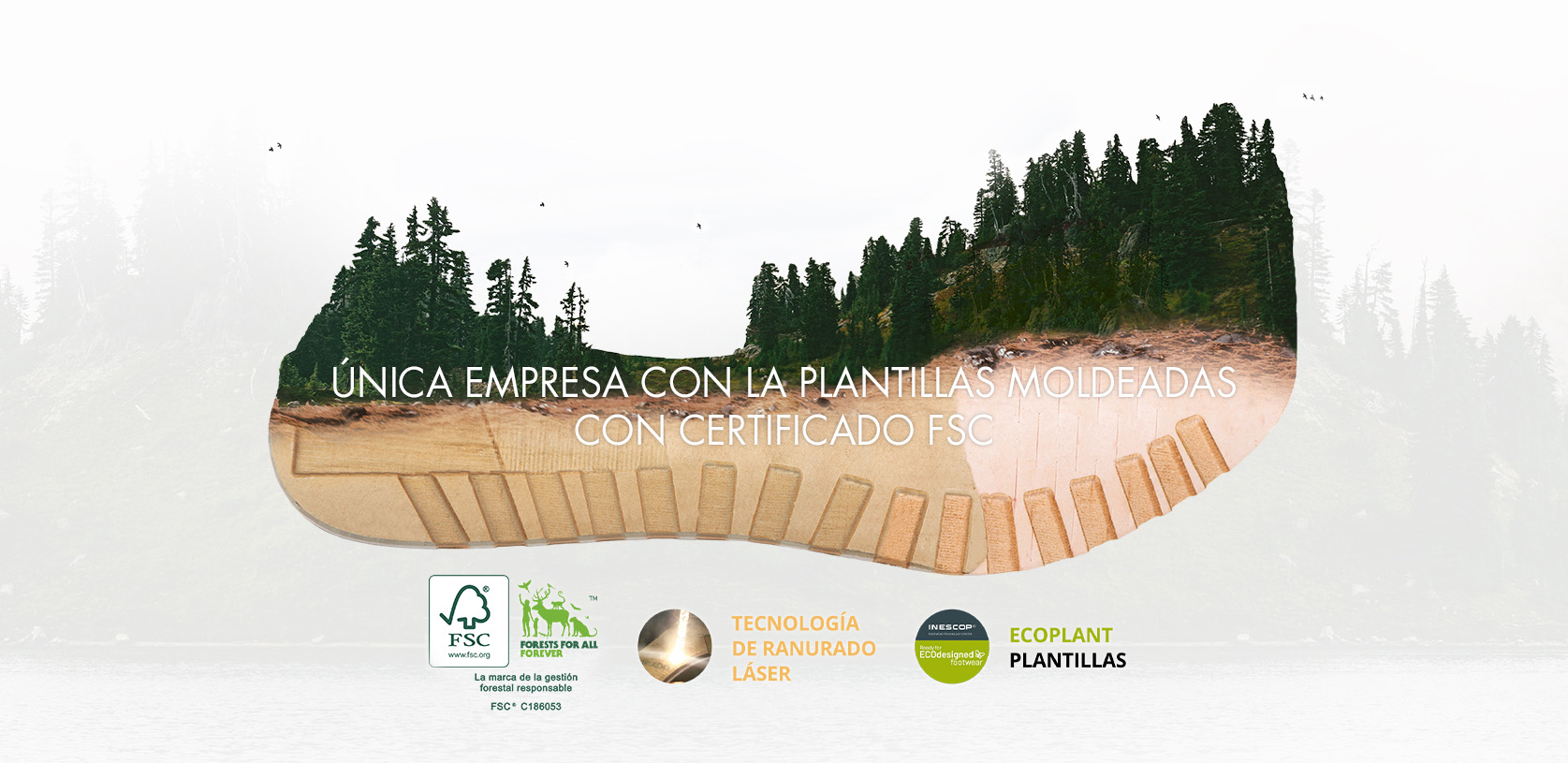 Plantillas Hernández: Las plantillas con certificación FSC